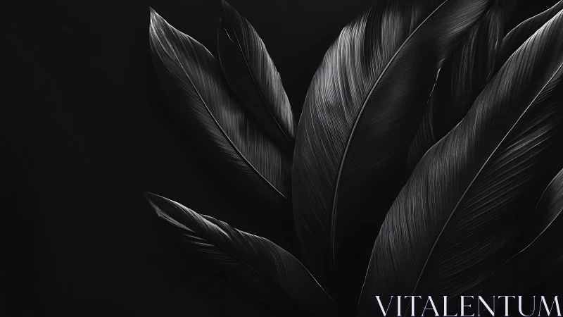 Macro study of overlapping black feathers with directional gloss