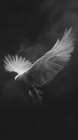 High contrast monochrome white dove in mid-flight against smoke