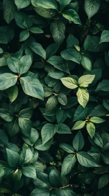 Rebel lime leaf glows inside a deep emerald jungle wall.