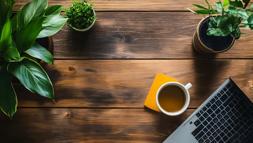 Workspace with coffee, laptop and plants on rustic wood desk.