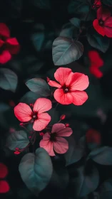 Red Flowers with Blue Leaves in Moody Light