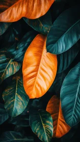 Macro foliage study with teal&ndash;orange chromatic contrast.