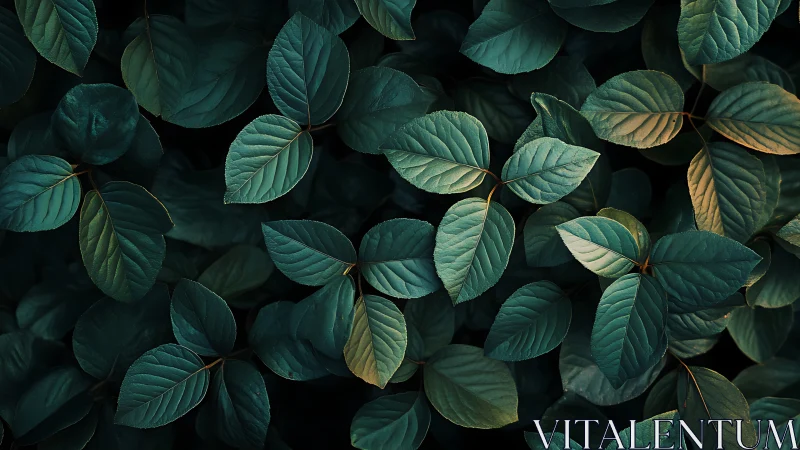 Quiet green leaves share a gentle, softly shadowed glow