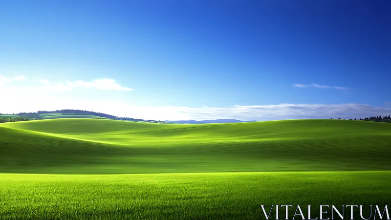 Rolling green agricultural hills under clear blue sky.