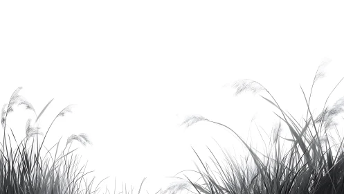 Soft grasses sway in a gentle breeze against open white sky