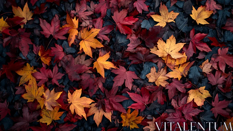 Autumn maple leaves in rich red and gold carpet pattern.