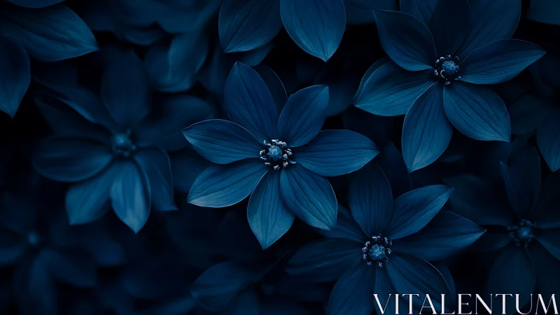 Deep Blue Botanical Composition With Radiant Floral Centers