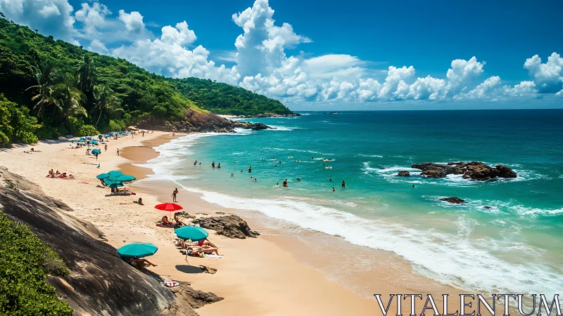 Coastal shoreline shows crowded beach and adjacent forest