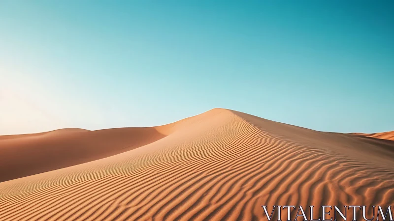 Golden desert dune quietly curves beneath a soft blue sky
