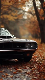 Classic muscle car enjoys a peaceful drive through autumn