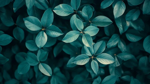 Teal foliage pattern under soft directional natural light.
