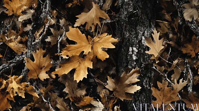 Oak leaf litter envelops textured tree bark in muted contrast