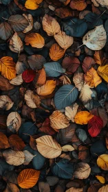 Crisp autumn leaves quietly rehearse their twilight waltz