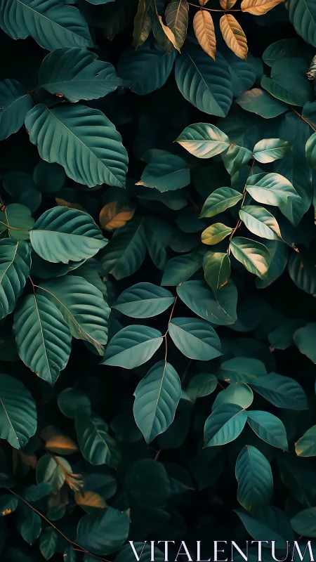 Dense overlapping foliage with mixed green and golden leaves.