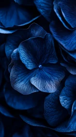 Deep Blue Petals Glowing in Twilight Darkness