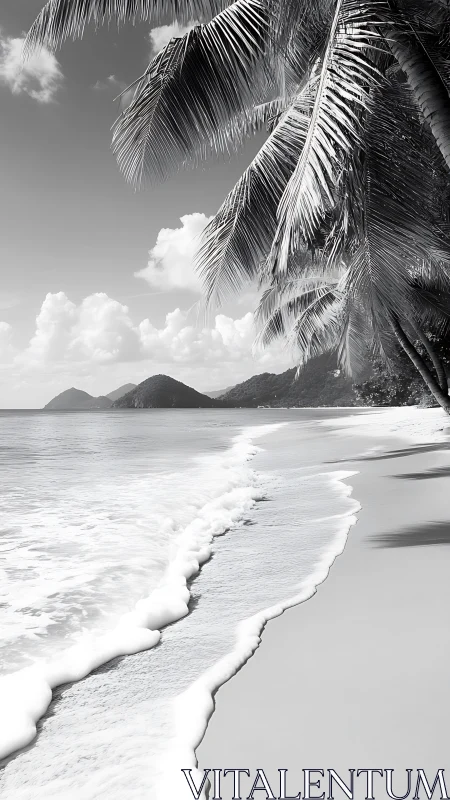 Tropical Shoreline with Fronde Overhang and Distant Mountainous Islands.
