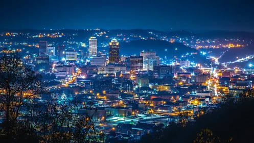 Urban skyline at night with illuminated downtown buildings.