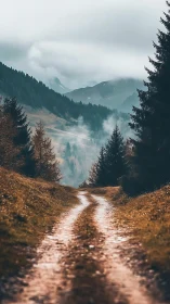 Muddy forest path leading toward distant misty hills.