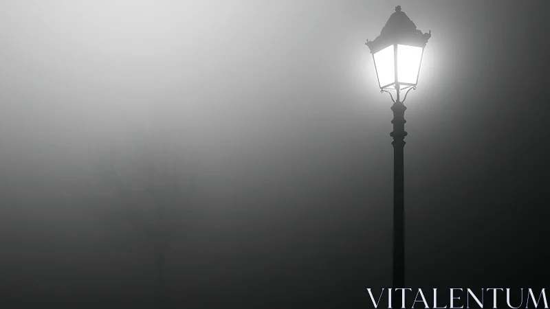 Streetlamp illuminating dense night fog in grayscale.