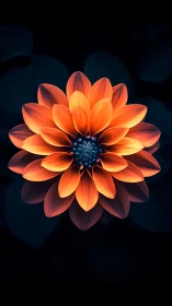 Orange Dahlia Flower with Layered Petals Against Dark Background