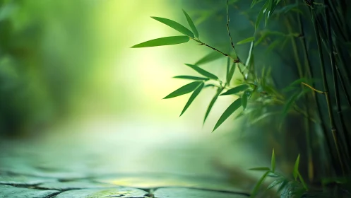 Serene Bamboo Garden Path with Soft Green Tones, Tranquil Style.