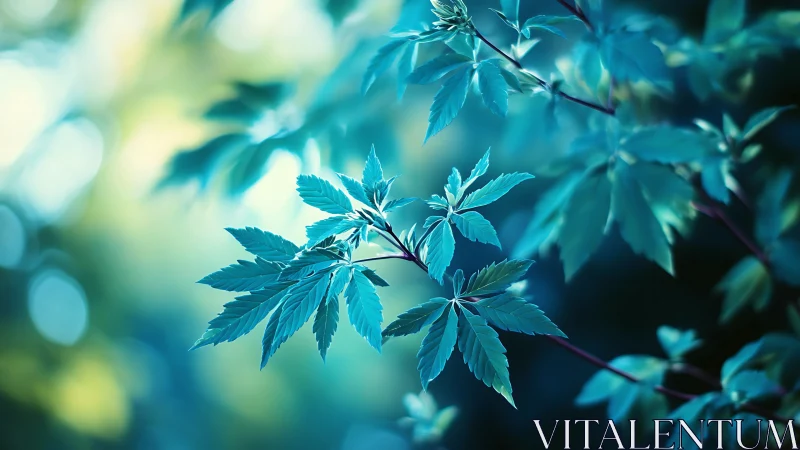 Close-up of compound leaves on branch with cool bokeh light.