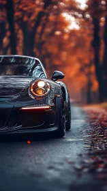 Sports coupe front view occupies wet forest roadway
