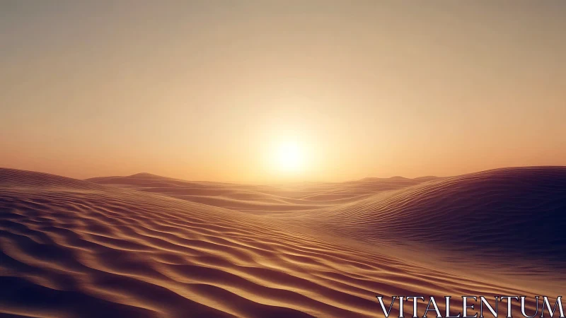 Sand dunes under low sun on clear desert horizon.