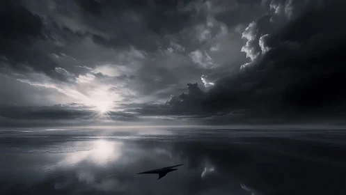 Monochrome seascape renders high contrast storm-lit horizon plane