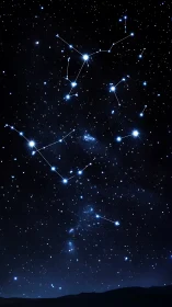 Night sky panorama maps constellations with luminous vector lines