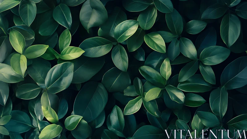 Top-down optical study of glossy green foliage texture field.