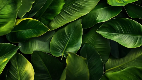 Velvet jungle leaves layered in luminous emerald hush.