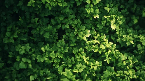 Photorealistic overhead study of dense verdant foliage.