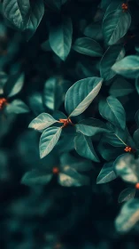 Teal foliage closeup with golden buds in soft bokeh focus.