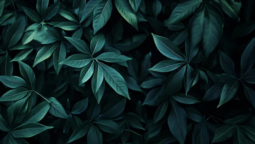 Dense foliage canopy rendered with low-key teal-toned lighting gradients