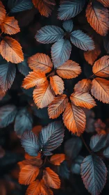 Chromatic leaf matrix with teal-orange spectral contrast.