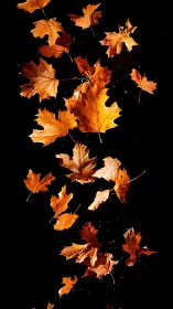 Golden fall leaves drifting gently through the darkness.