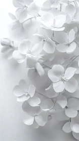 White Orchid Flowers Cascading in Soft Monochrome Light.