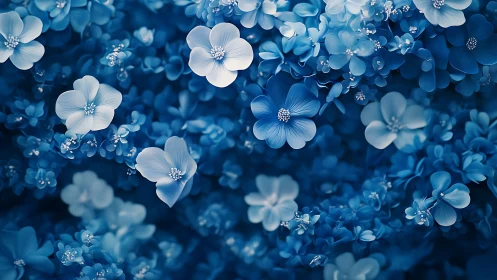 Delicate Blue Floral Composition in Soft Focus.