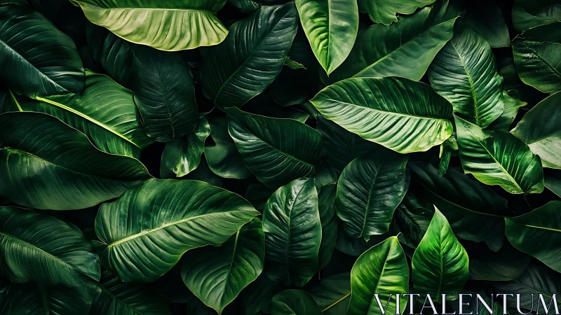 Macrophotographic foliage array with layered tropical leaves.