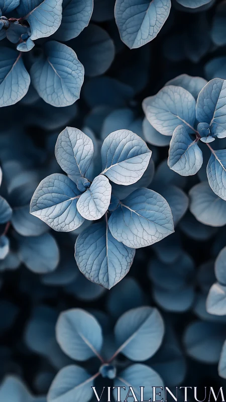 Soft blue garden leaves offering a quiet, soothing pause.
