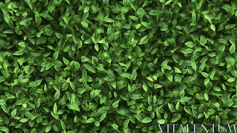 Leafy chorus wall humming with layered emerald whispers.