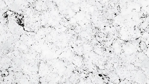 White stone surface shows fine black speckled veining