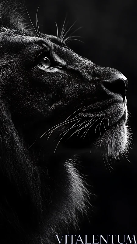Black and white lion profile with dramatic side lighting.