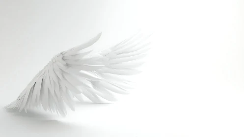 White sculpted wing curves into bright minimal void