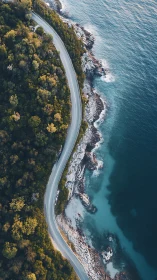 Coastal road curve beside forested cliff and blue shoreline.