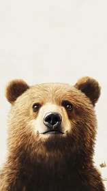 Brown bear portrait displays soft fur and curious gaze