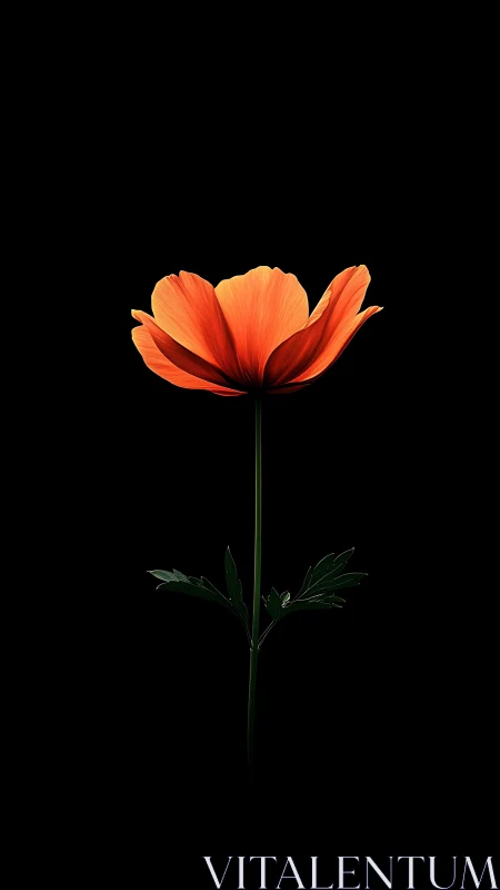 Crimson Petals Strike Against Darkness