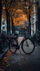 Solitary Bicycle Staged in Autumn Street Alleyway During Golden Hour.