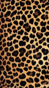 Leopard Print Textile Pattern: Warm Tan Base with Black Rosette Spotting